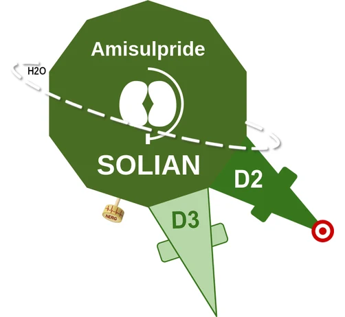Amisulpride ballicule — decagon mechanism diagram