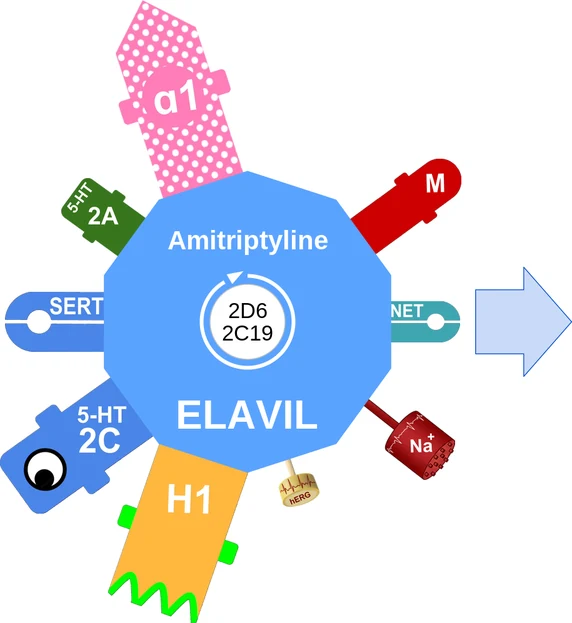 Amitriptyline ballicule — decagon mechanism diagram