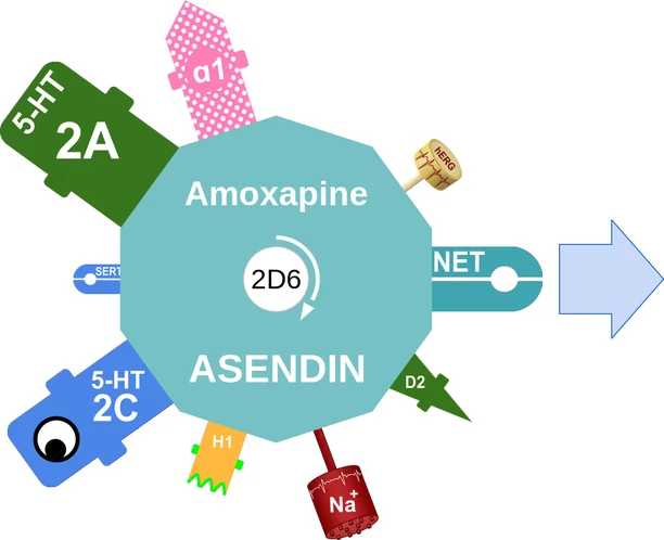 Amoxapine ballicule — decagon mechanism diagram