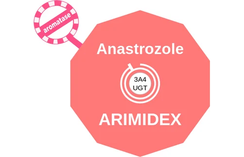 Anastrozole ballicule — decagon mechanism diagram