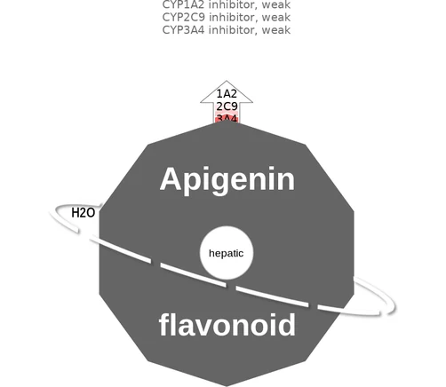 Apigenin ballicule: receptor binding, kinetics and half-life diagram