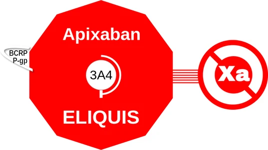 Apixaban ballicule: receptor binding, kinetics and half-life diagram