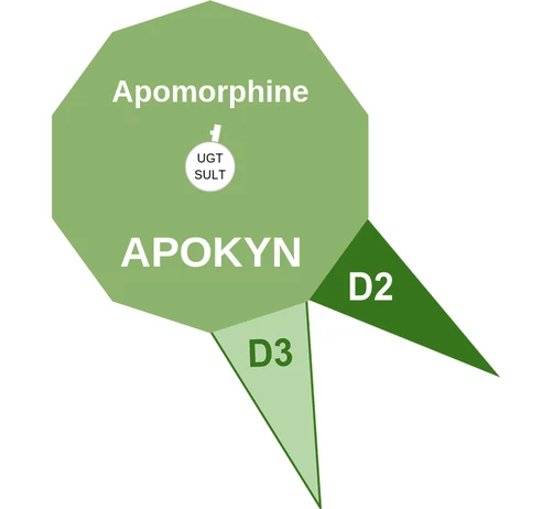 Apomorphine ballicule: receptor binding, kinetics and half-life diagram