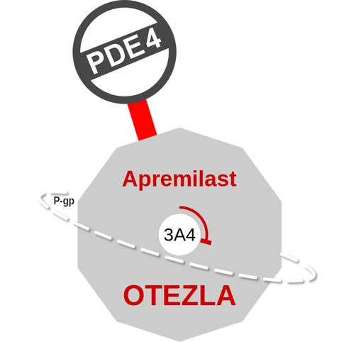Apremilast ballicule: receptor binding, kinetics and half-life diagram