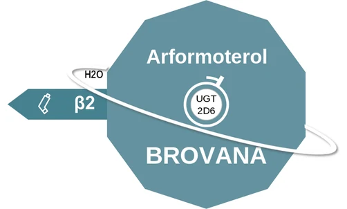Arformoterol ballicule: receptor binding, kinetics and half-life diagram
