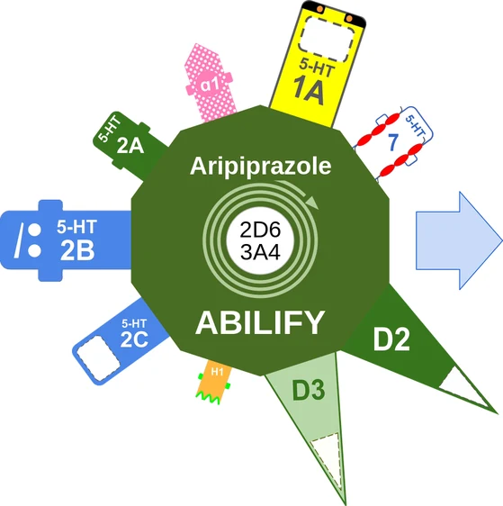 Aripiprazole ballicule — decagon mechanism diagram