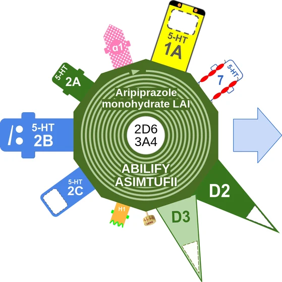 Aripiprazole monohydrate LAI ballicule — decagon mechanism diagram