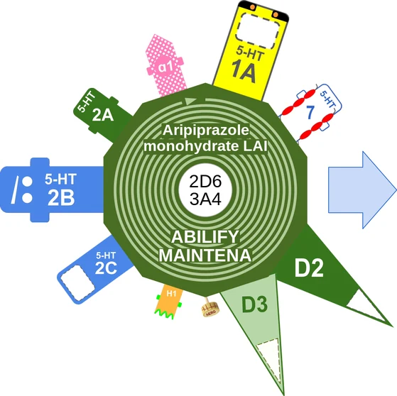 Aripiprazole monohydrate LAI ballicule — decagon mechanism diagram