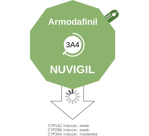 Armodafinil ballicule: receptor binding, kinetics and half-life diagram