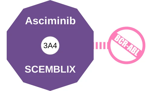 Asciminib ballicule: receptor binding, kinetics and half-life diagram