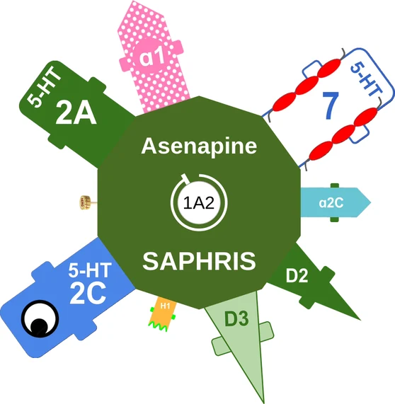 Asenapine ballicule — decagon mechanism diagram