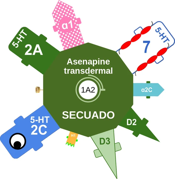 Asenapine transdermal ballicule: receptor binding, kinetics and half-life diagram