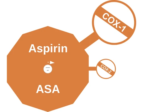 Aspirin ballicule: receptor binding, kinetics and half-life diagram