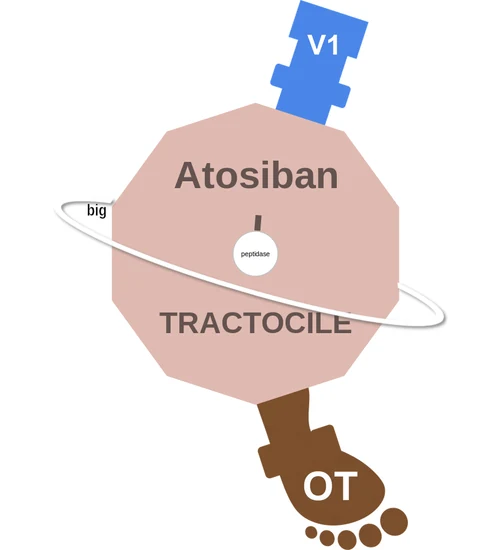 Atosiban ballicule — decagon mechanism diagram