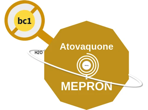 Atovaquone ballicule — decagon mechanism diagram