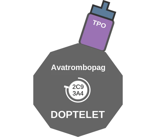 Avatrombopag ballicule: receptor binding, kinetics and half-life diagram