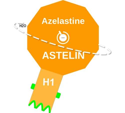 Azelastine ballicule: receptor binding, kinetics and half-life diagram