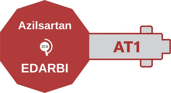Azilsartan ballicule: receptor binding, kinetics and half-life diagram