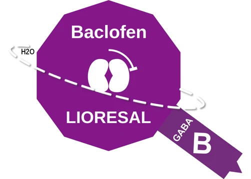 Baclofen ballicule: receptor binding, kinetics and half-life diagram