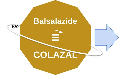Balsalazide ballicule: receptor binding, kinetics and half-life diagram