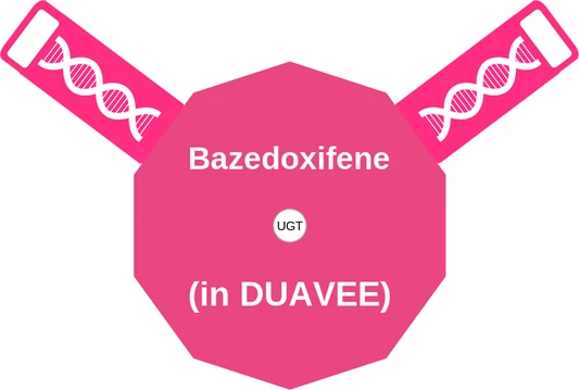 Bazedoxifene ballicule: receptor binding, kinetics and half-life diagram