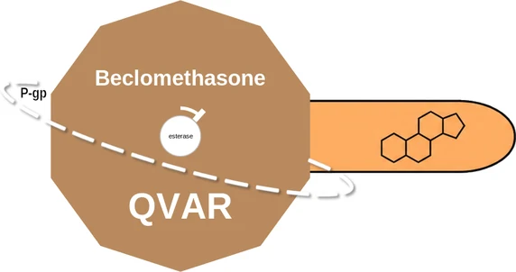 Beclomethasone ballicule — decagon mechanism diagram