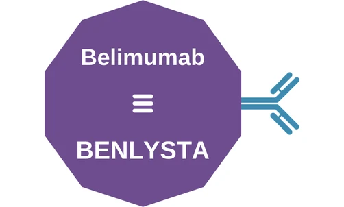 Belimumab ballicule: receptor binding, kinetics and half-life diagram