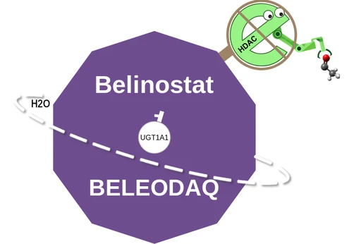Belinostat ballicule — decagon mechanism diagram