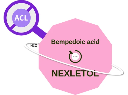 Bempedoic acid ballicule: receptor binding, kinetics and half-life diagram