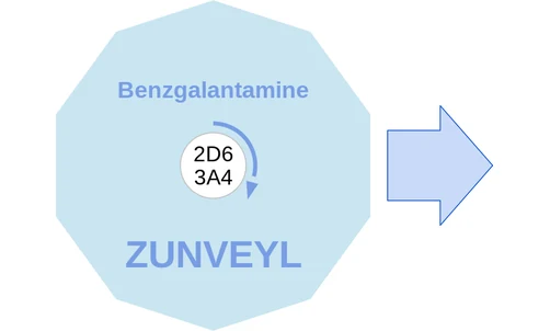 Benzgalantamine ballicule — decagon mechanism diagram