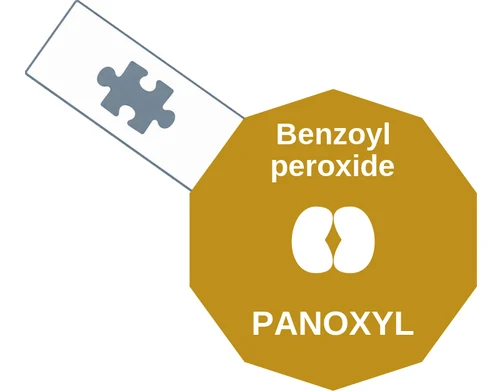 Benzoyl peroxide ballicule: receptor binding, kinetics and half-life diagram