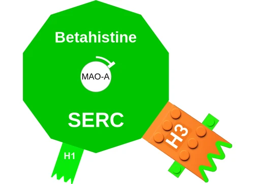 Betahistine ballicule: receptor binding, kinetics and half-life diagram