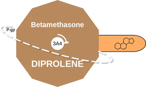 Betamethasone ballicule — decagon mechanism diagram