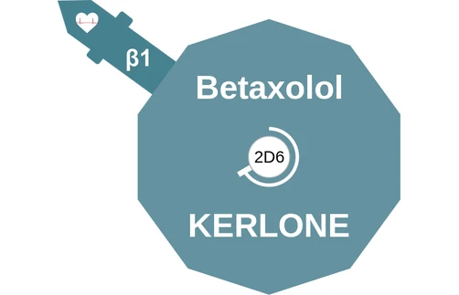 Betaxolol ballicule — decagon mechanism diagram
