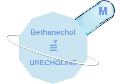 Bethanechol ballicule: receptor binding, kinetics and half-life diagram