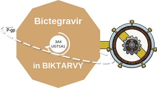 Bictegravir ballicule — decagon mechanism diagram