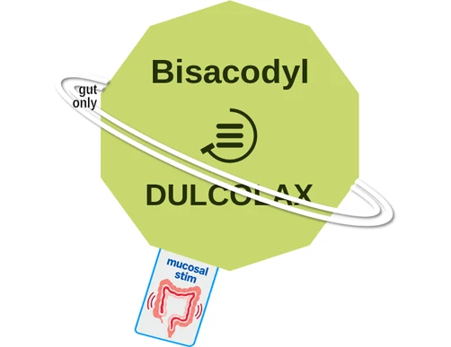 Bisacodyl ballicule: receptor binding, kinetics and half-life diagram