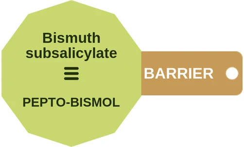 Bismuth subsalicylate ballicule: receptor binding, kinetics and half-life diagram