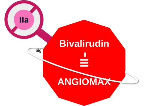 Bivalirudin ballicule: receptor binding, kinetics and half-life diagram