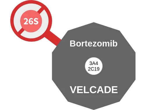 Bortezomib ballicule — decagon mechanism diagram