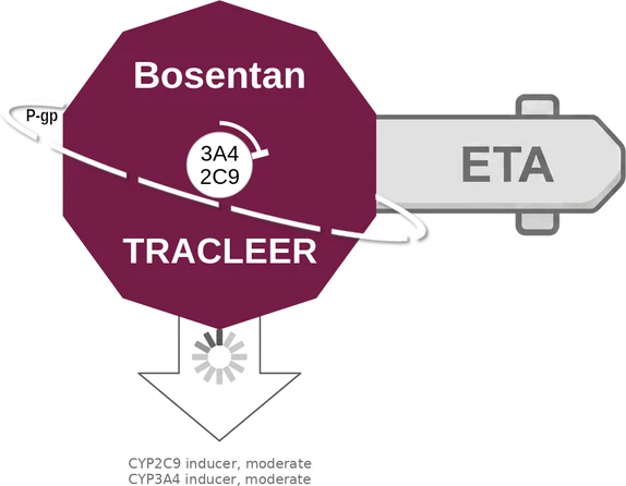 Bosentan ballicule: receptor binding, kinetics and half-life diagram