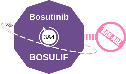 Bosutinib ballicule: receptor binding, kinetics and half-life diagram