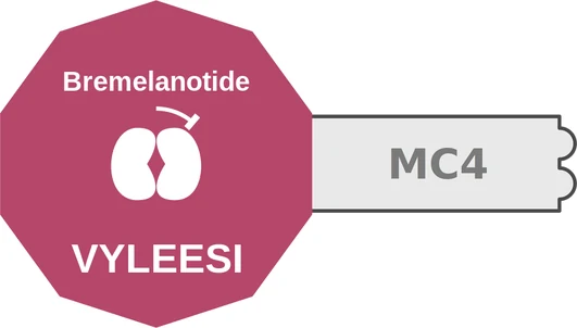 Bremelanotide ballicule: receptor binding, kinetics and half-life diagram