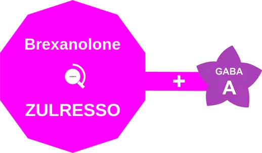 Brexanolone ballicule: receptor binding, kinetics and half-life diagram
