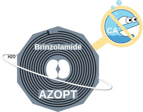 Brinzolamide ballicule — decagon mechanism diagram