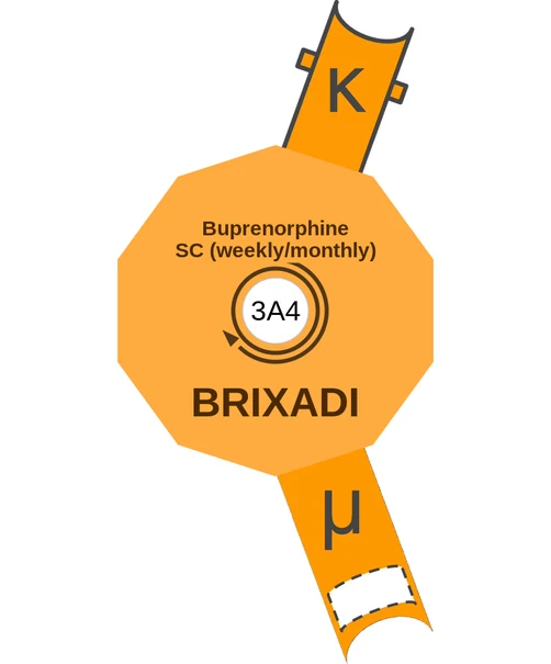 Buprenorphine SC (weekly/monthly) ballicule: receptor binding, kinetics and half-life diagram