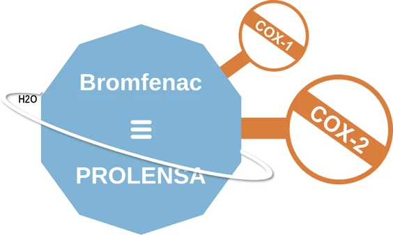 Bromfenac ballicule: receptor binding, kinetics and half-life diagram