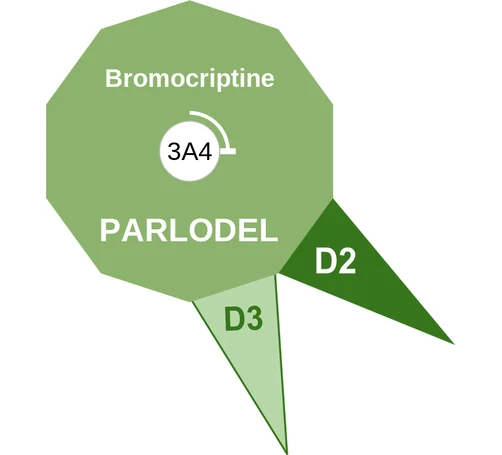 Bromocriptine ballicule: receptor binding, kinetics and half-life diagram