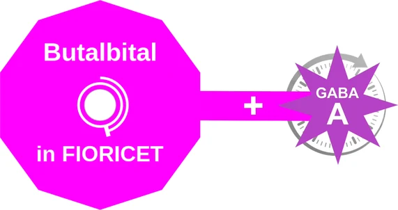 Butalbital ballicule — decagon mechanism diagram