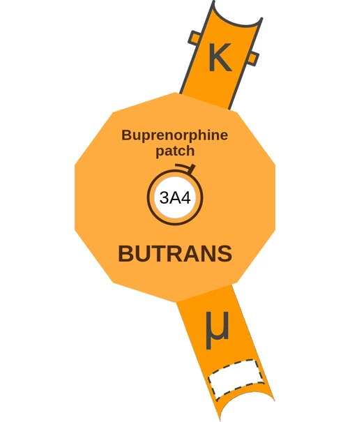 Buprenorphine patch ballicule: receptor binding, kinetics and half-life diagram